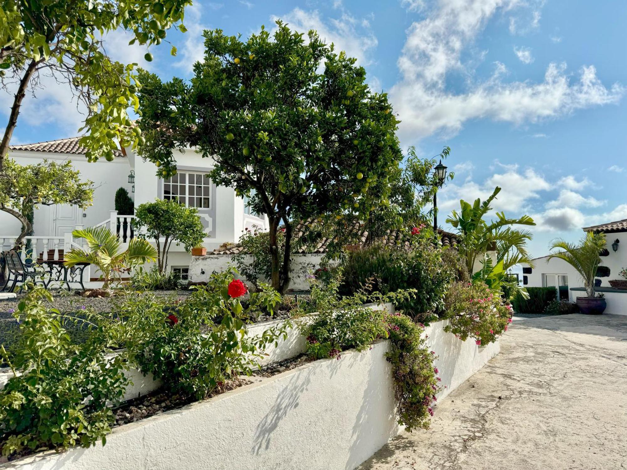 Loft Los Laureles Ел Пасо Екстериор снимка